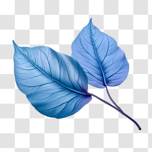 Blue Leaves - Decorative Blue Tropical Leaves Design Transparent PNG