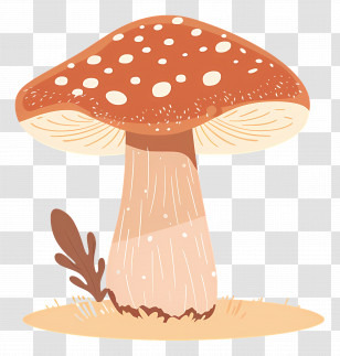 Boletus Mushroom - Cartoon Mushroom With Red Cap Transparent PNG