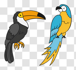 Bird Parrot - Colorful Toucans And Parrots Transparent PNG