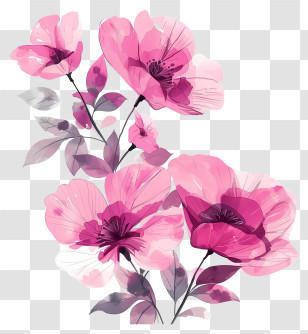 Pink Watercolor Flowers - Pink Watercolor Floral Illustration Transparent PNG