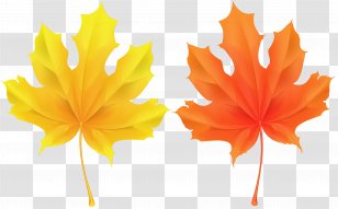 Leaf Autumn Clip Art - Petal - Leaves Transparent PNG