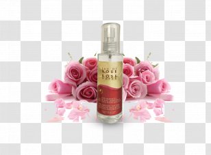 Rose Flower Valentine's Day Love Desktop Wallpaper - Romance Transparent PNG