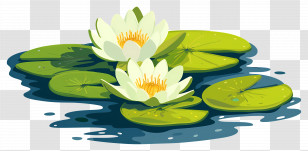 Water Lily Flowers - Water Lilies In A Serene Pond Transparent PNG