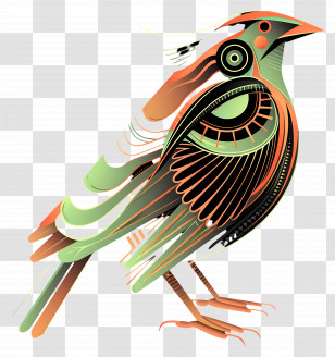 Line Art - Abstract Colorful Bird Illustration Transparent PNG