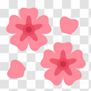 Pink Flower - Pink Cherry Blossoms Flower Petals Transparent PNG