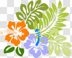 Hawaiian Drawing Clip Art - Flora - Hula Transparent PNG