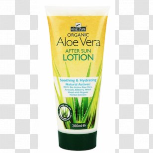 Sunscreen Lotion Aloe Vera Aftersun Factor De ProtecciÃ³n Solar - How To Draw Plant Step By Transparent PNG