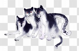 Whiskers Kitten Wildlife Tail Transparent PNG
