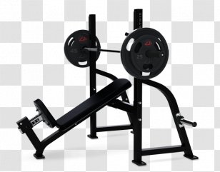 Bench Olympic Games Fitness Centre Fly Dumbbell - Equipment Transparent PNG