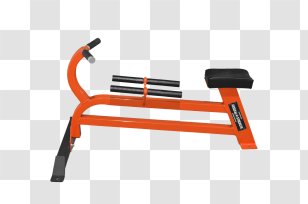 Exercise Machine Equipment Bench Bent-over Row - Strength Training - Dumbbell Transparent PNG