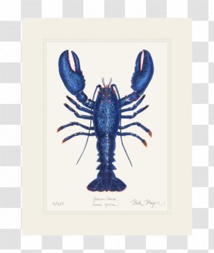 American Lobster Crab Giant Tiger Prawn California Spiny - Seafood Transparent PNG