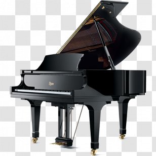 Boston Steinway & Sons Grand Piano Hall - Tree Transparent PNG