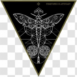 Symbol Sacred Geometry Platonic Solid Tree Of Life - Triangle - Mandala Tattoo Transparent PNG