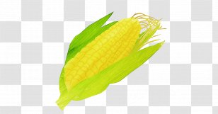 Feather - Corn On The Cob - Flower Vegetarian Food Transparent PNG