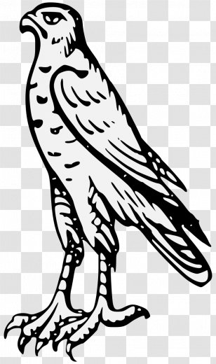 Clip Art Image Drawing Illustration Hawk - Heraldry - Cartoon Baby Transparent PNG