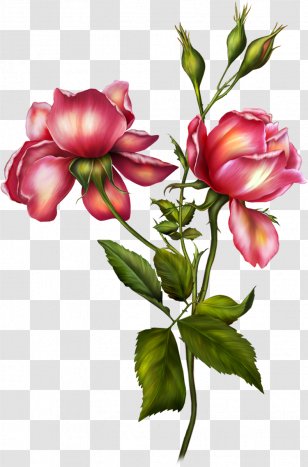 Flower Garden Roses Clip Art - Image Viewer - Mary Transparent PNG
