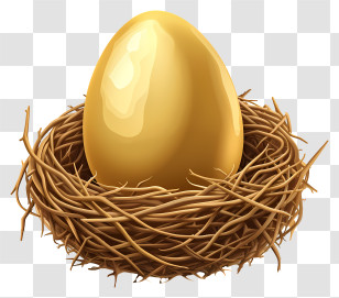 Golden Egg - Golden Egg In A Nest Illustration Transparent PNG