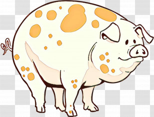Snout Cartoon Livestock Bovine Fawn Transparent PNG