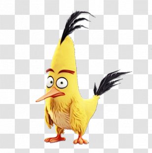 Angry Birds - Chicken - Animation Transparent PNG