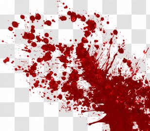 Blood Download - Channel - Splash Of Red Transparent PNG
