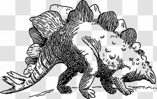 Stegosaurus Tyrannosaurus Triceratops Apatosaurus Dinosaur - Velociraptor Transparent PNG