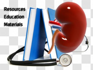Obesity Medicine Medical Library Education - Learning - Kidney Transparent PNG