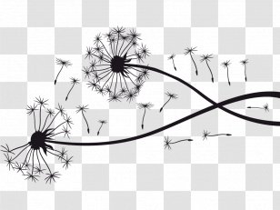 Sticker Wall Decal Decorative Arts Flower - Monochrome - Black Dandelion Transparent PNG