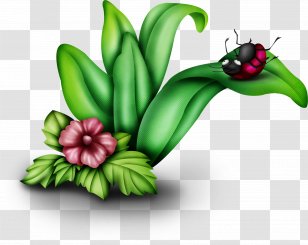 Cartoon Drawing - Dessin Animxe9 - Ladybug On The Mosaic Transparent PNG