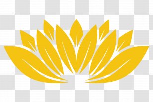 IYogaprops Asana Iyengar Yoga Yogi - Fruit - YELLOW Transparent PNG
