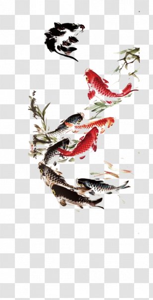 Koi Carassius Auratus Ink Wash Painting Drawing - Fish Transparent PNG