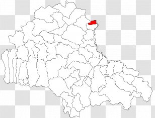 Poiana BraÈ™ov Codlea Poienile Cu Narcise Din Dumbrava Vadului Rupea - Map Transparent PNG