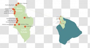 Product Design Illustration Map - Joint - Development Community S Transparent PNG