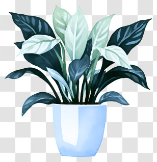 White Ceramic Flower Pot - Green Plant In Blue Pot Transparent PNG