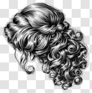 Hair Wig - Black-and-White Curly Hairstyle Sketch Transparent PNG