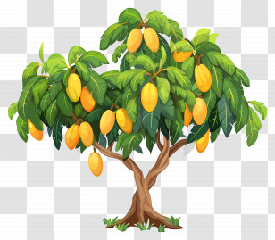 Mango Tree - Mango Tree With Ripe Tropical Fruit Transparent PNG