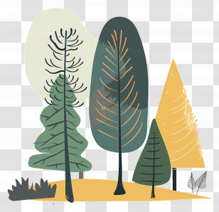 Forest - Illustration Of Various Trees Transparent PNG