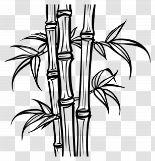 Bamboo - Line Art Bamboo Stalks And Leaves Transparent PNG