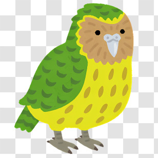 Bird - Kakapo Parrot Illustration In Bright Colors Transparent PNG