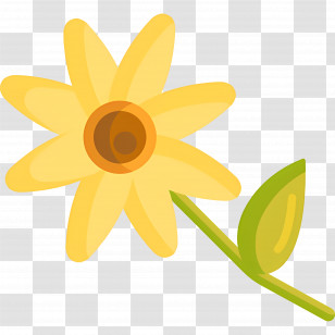 Daisy Flower - Yellow Flower With Green Leaves Transparent PNG