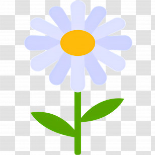 Daisy Flower - White Daisy Flower With Green Stem Illustration Transparent PNG
