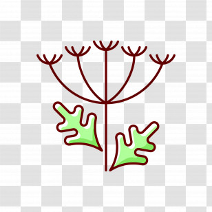 Wildflower - Simple Plant Illustration Transparent PNG