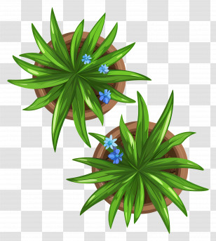 Plants Top View - Green Plants In Flower Pots Transparent PNG