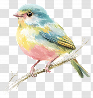 Pastel Bird - Realistic Colorful Bird On A Branch Illustration Transparent PNG