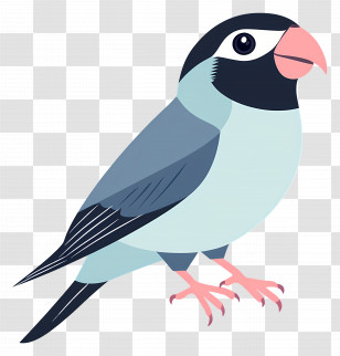 Lovebird - Java Sparrow Illustration In Blue Tones Transparent PNG