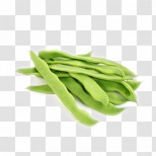 Snow Pea Vegetable Green Bean Fruit - Commodity - Vegetables,Snow Peas Transparent PNG