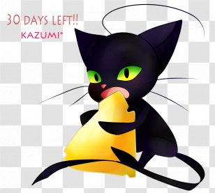 Black Cat Kitten Whiskers Lady Wifi - Tic Transparent PNG