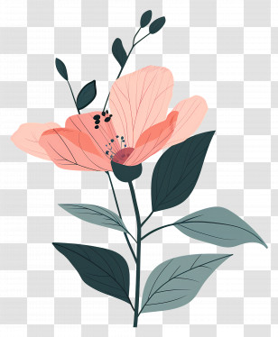 Pink Flower - Pink Flower Illustration With Elegant Petals Transparent PNG