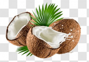Coconut Milk Powder Organic Food Water - Flowerpot Transparent PNG