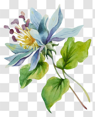 Watercolor Painting - Watercolor Blue Flower With Leaves Transparent PNG