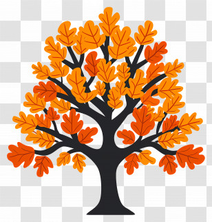Autumn Leaves - Autumn Tree With Vibrant Orange And Red Leaves Transparent PNG
